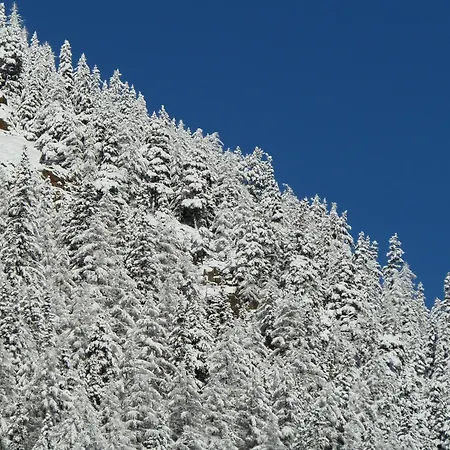 Gurgl Appartement